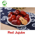 Chinese red lucid dates with cheap price